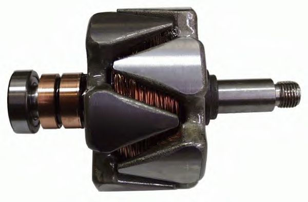 19025858 DELCO REMY Rotor, alternator