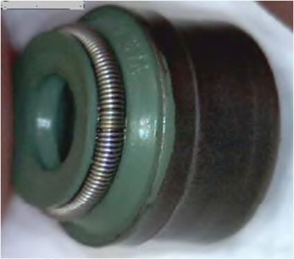 19036762 CORTECO Cylinder Head Seal, valve stem