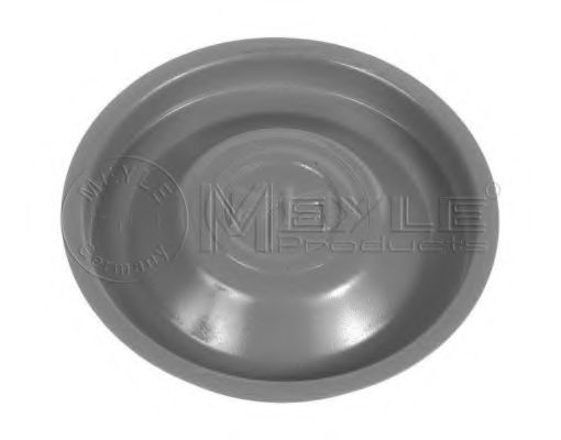 Cover Plate, releaser
