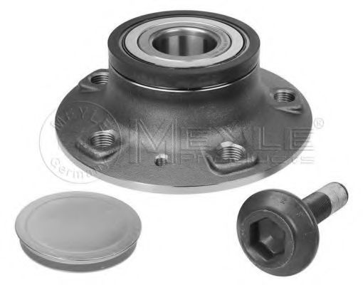 100 650 0011 MEYLE Wheel Bearing Kit
