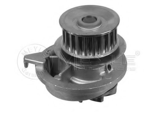 613 600 4038 MEYLE Cooling System Water Pump