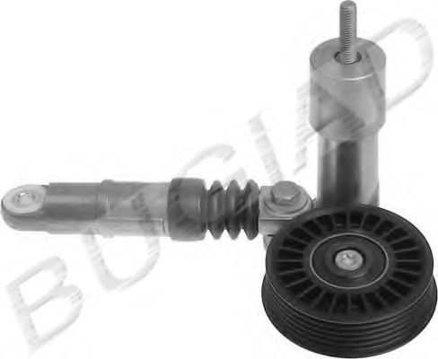 BUGIAD BSP22421