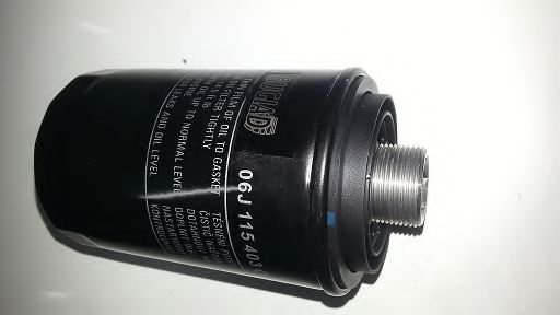 BSP21767 BUGIAD Oil Filter