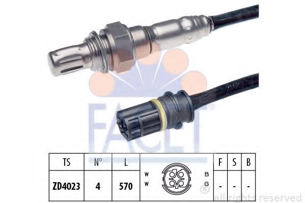 FACET 107969