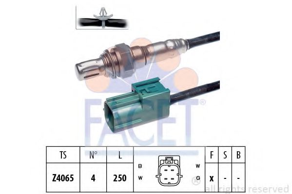 FACET 108004