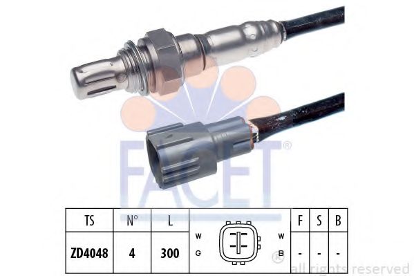 FACET 107961