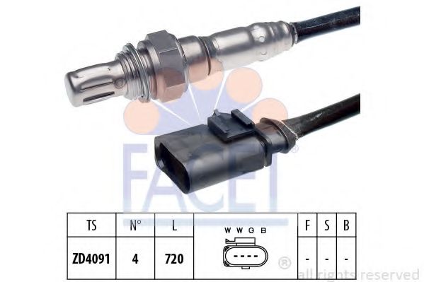 FACET 108056