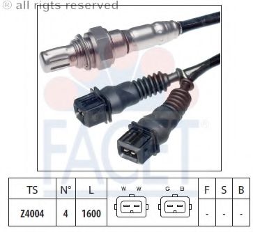 FACET 107718