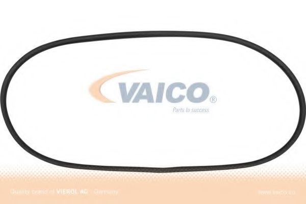 V10-0891 VAICO Body Seal, windscreen