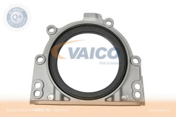 V10-9779 VAICO Crankshaft Drive Shaft Seal, crankshaft