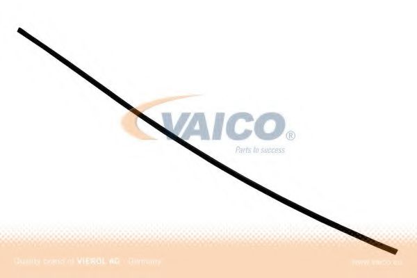 V25-9700 VAICO Body Seal, windscreen