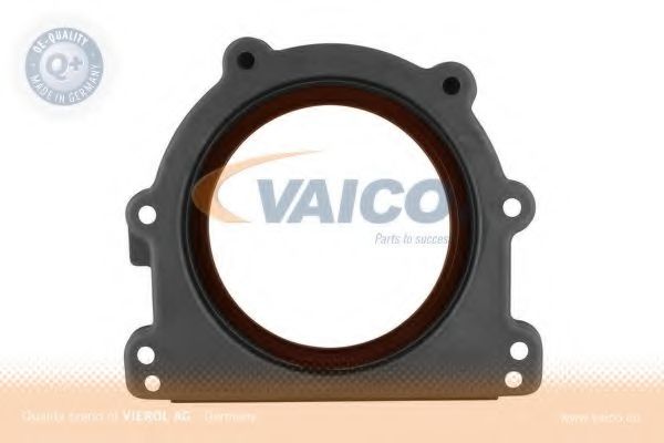 V30-6144 VAICO Shaft Seal, crankshaft