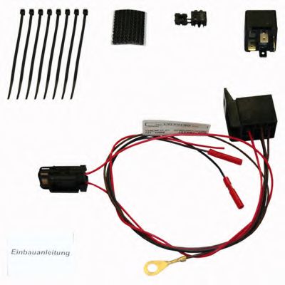 ZB5919 RAMEDER Electric Kit, check control extension