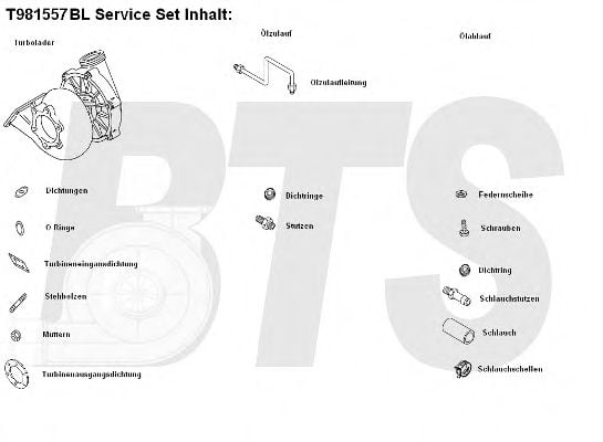 T981557BL BTS+TURBO Charger, charging system