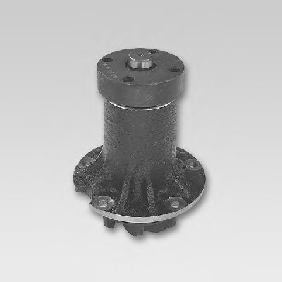P155/36 HEPU Water Pump