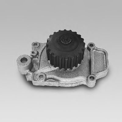 981041 GK Cooling System Water Pump