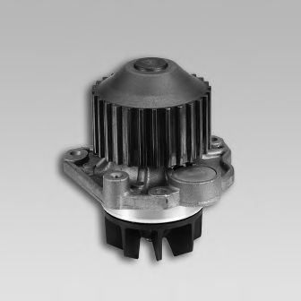 981075 GK Cooling System Water Pump
