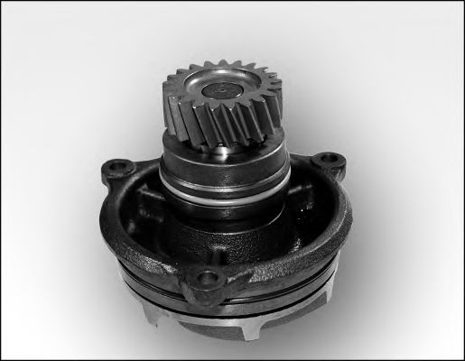 981171 GK Cooling System Water Pump