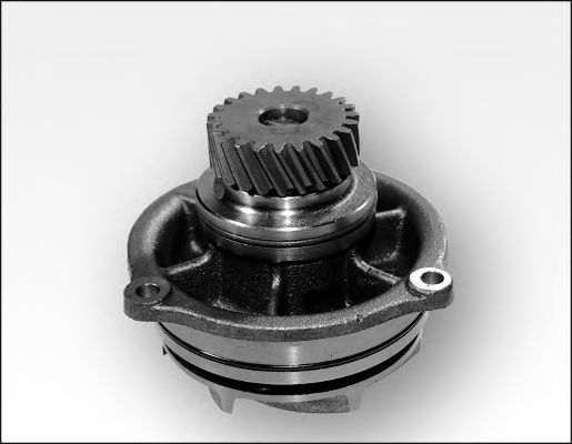 981176 GK Cooling System Water Pump