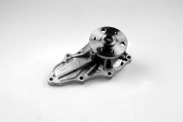 987818 GK Cooling System Water Pump