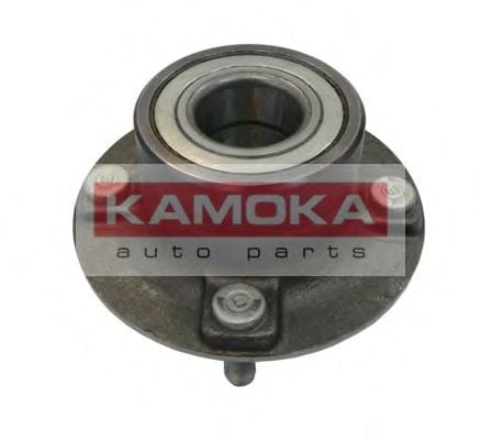 5500047 KAMOKA Wheel Bearing Kit