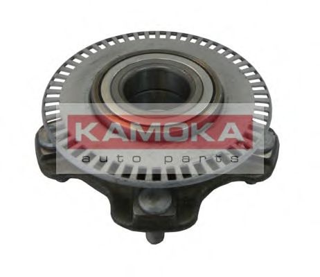 5500050 KAMOKA Wheel Bearing Kit