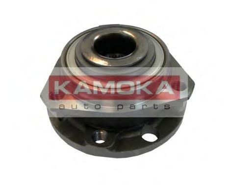 5500062 KAMOKA Wheel Bearing Kit