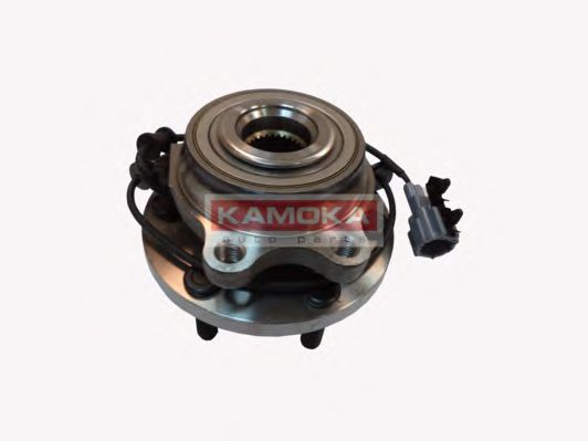 5500134 KAMOKA Wheel Bearing Kit