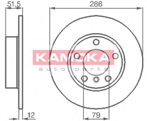 103496 KAMOKA Brake System Brake Disc