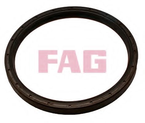 413 0110 10 FAG Standard Parts Shaft Oil Seal