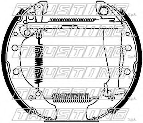 6417 TRUSTING Wheel Suspension Wheel Bearing Kit