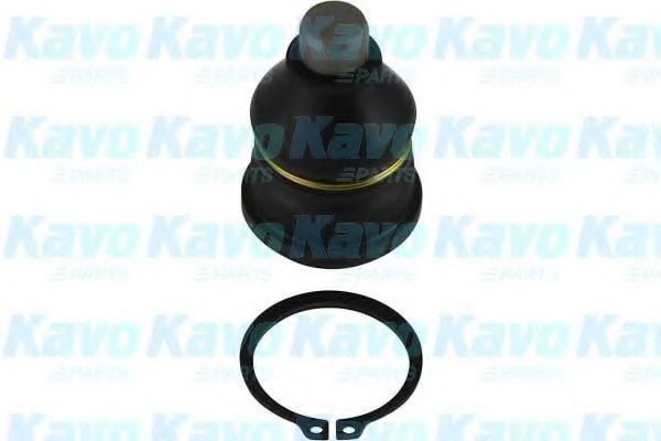SBJ-6505 KAVO+PARTS Wheel Suspension Ball Joint