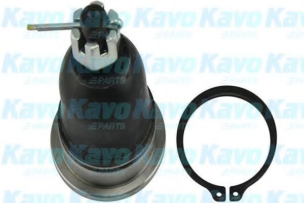 SBJ-6526 KAVO+PARTS Wheel Suspension Ball Joint