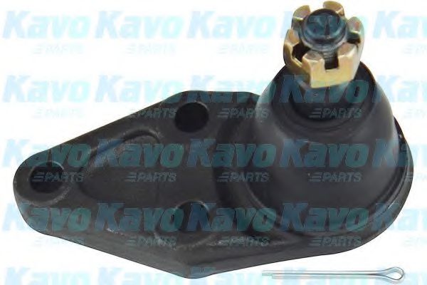 SBJ-5519 KAVO+PARTS Wheel Suspension Ball Joint
