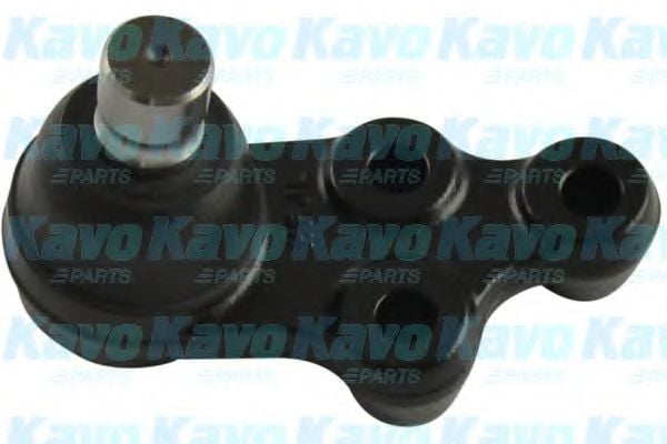 SBJ-7505 KAVO+PARTS Wheel Suspension Ball Joint