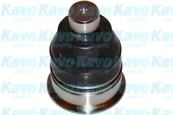 SBJ-6528 KAVO+PARTS Ball Joint