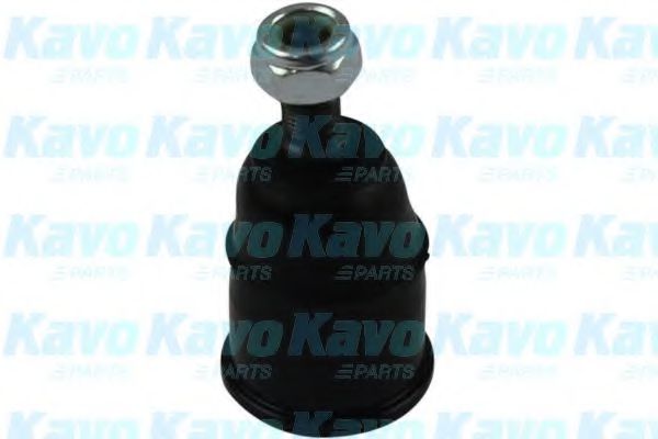 SBJ-2001 KAVO+PARTS Wheel Suspension Ball Joint
