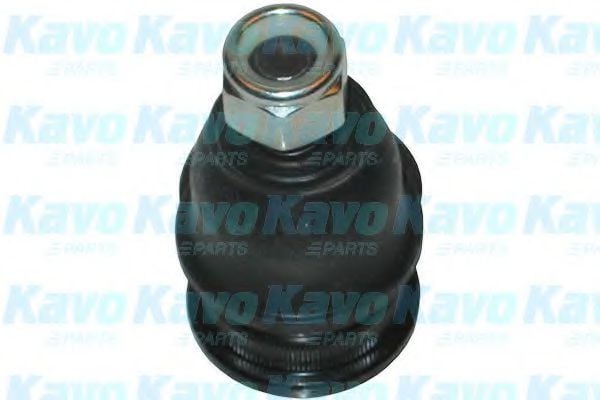 SBJ-3010 KAVO+PARTS Wheel Suspension Ball Joint