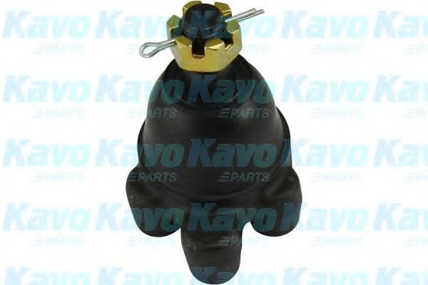 SBJ-5503 KAVO+PARTS Wheel Suspension Ball Joint