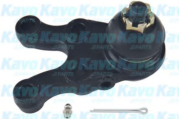SBJ-5506 KAVO+PARTS Ball Joint