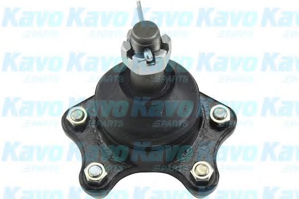 SBJ-9016 KAVO+PARTS Wheel Suspension Ball Joint