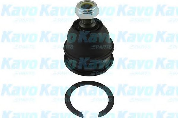 SBJ-5521 KAVO+PARTS Ball Joint