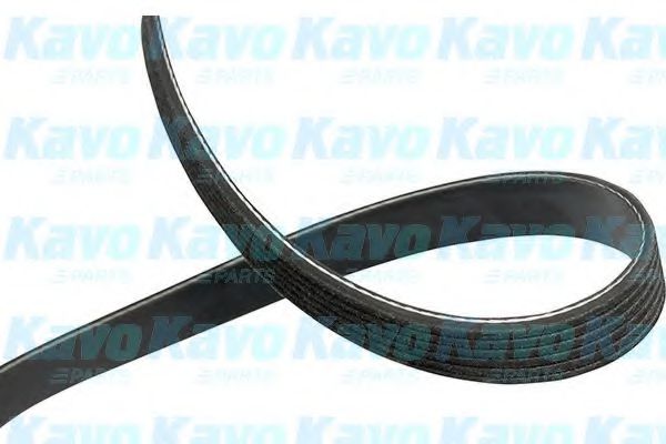DMV-3028 KAVO+PARTS Belt Drive V-Ribbed Belts