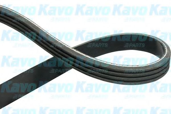 DMV-9104 KAVO+PARTS V-Ribbed Belts