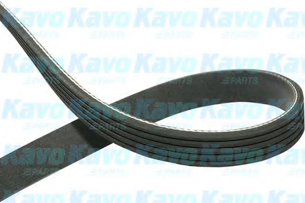 DMV-1007 KAVO+PARTS Belt Drive V-Ribbed Belts