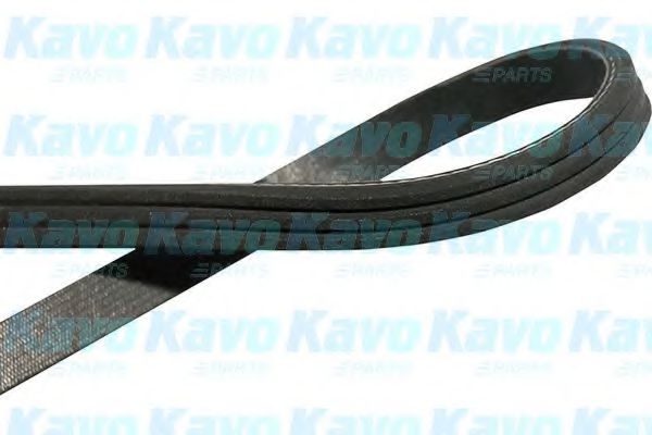 DMV-1503 KAVO+PARTS Belt Drive V-Ribbed Belts