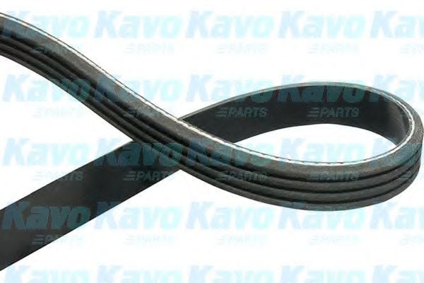DMV-1516 KAVO+PARTS V-Ribbed Belts
