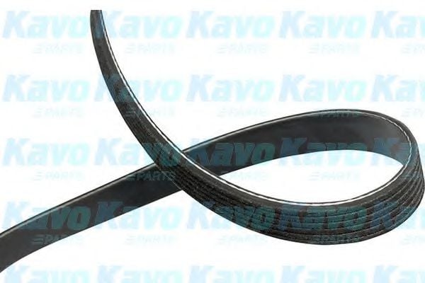DMV-1519 KAVO+PARTS Belt Drive V-Ribbed Belts