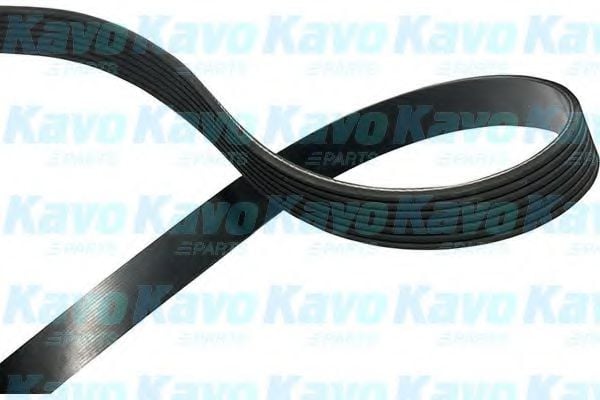 DMV-2012 KAVO+PARTS V-Ribbed Belts
