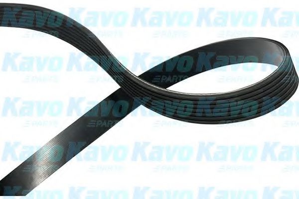 DMV-2013 KAVO+PARTS V-Ribbed Belts